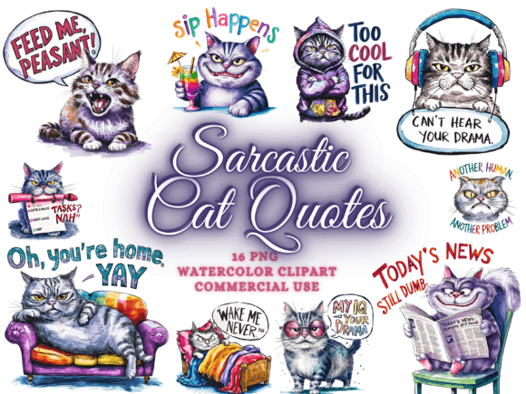 Download Cat Sarcastic Quotes Sublimation PNG - Sarcastic Collection