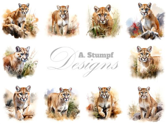 Download Puma Watercolor Animal Clipart Set - Watercolor animal clipart set Collection
